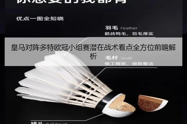 皇马对阵多特欧冠小组赛潜在战术看点全方位前瞻解析